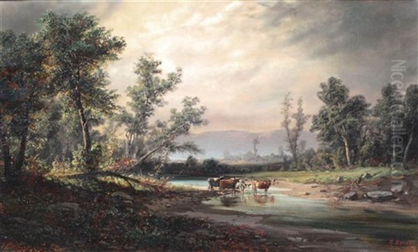 Cows Wading Through Water - view 1