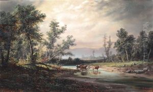 Cows Wading Through Water by Henry Boese