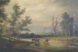 Grazing Cattle Grazing Cattle