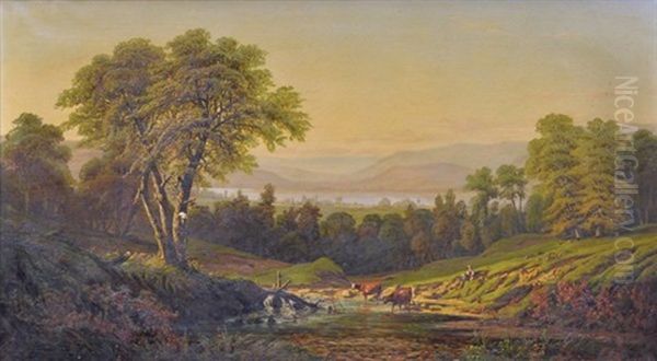 Fading Afternoon Light On Grazing Cattle - view 1