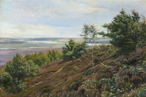 Rolling Countryside, Presumably From The Silkeborg Lakes - view 1