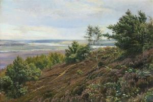 Rolling Countryside, Presumably From The Silkeborg Lakes by Johannes Boesen