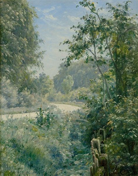 Sommerliche Landschaft Entlang Eines Weges Bei Lellinge Auf Seeland - view 1
