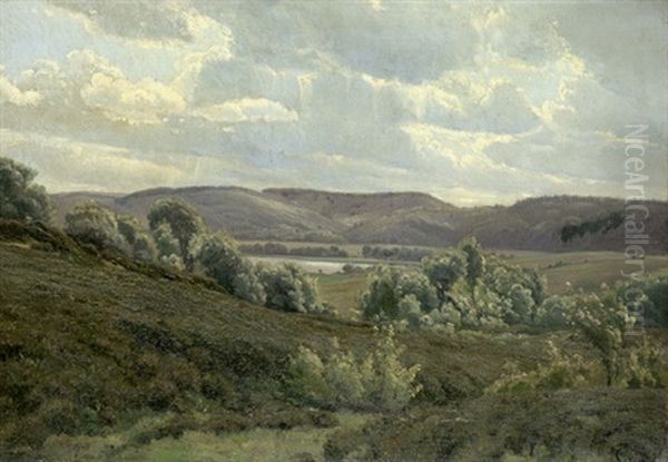 Landschaft Bei Sveibaek Auf Mitteljudland An Einem Klaren Und Windigen Sommertag - view 1