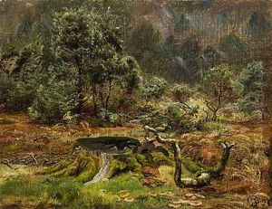 En Traestub I Skovbunden