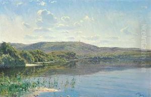 En Sommerdag Med Udsigt Til Himmelbjerget