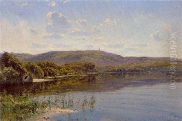 Sommerdag Med Udsigt Mod Himmelbjergt - view 1
