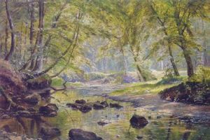 A Sunlit River In A Woodland Glade A Sunlit River In A Woodland Glade