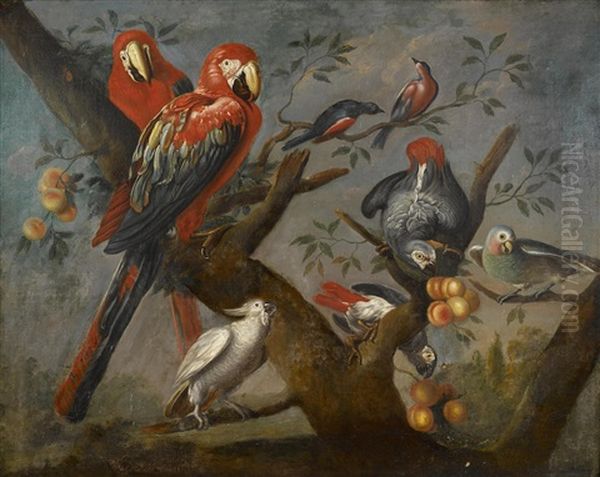 Parrots And Other Birds Perched On A Tree - view 1