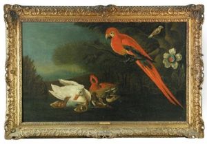 A Scarlet Macaw With Ornamental Domestic Ducks And Their Five Ducklings, With A Silver-breasted Broadbill