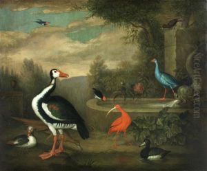 Exotic Birds, Ducks And Fowl By A Fountain In An Ornamental Park