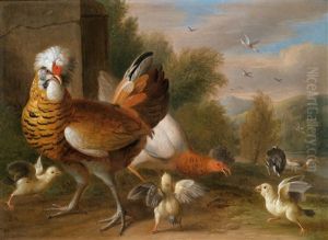 Hahne Und Anderes Geflugel In Einer Landschaft (pair) by Jakob Bogdani