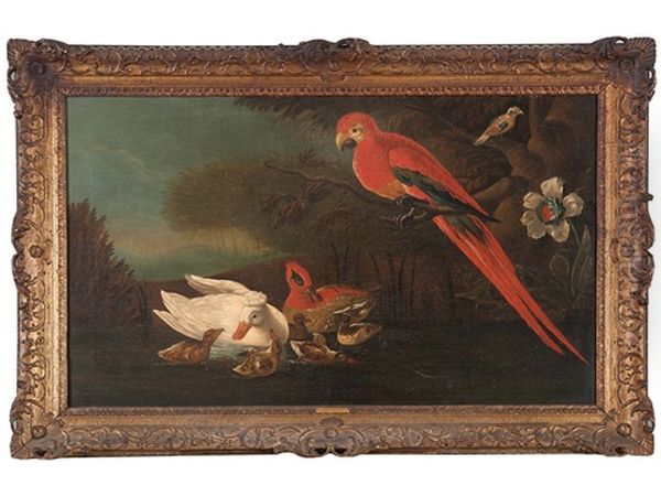 Parrot And Ducks In A Lake Landscape - view 1