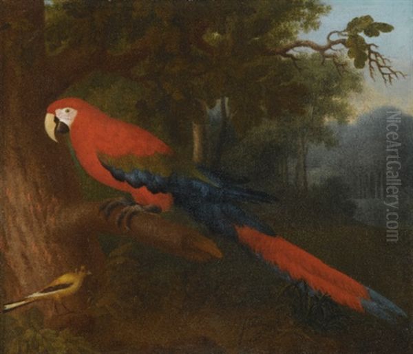 A Parrot And A Yellow Wagtail On A Branch - view 1