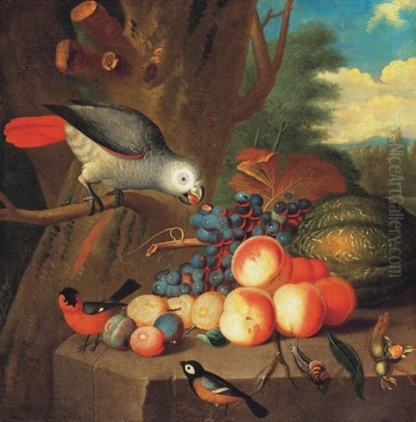 Csendelet Papagajjal - Still-life With Parrot - view 1