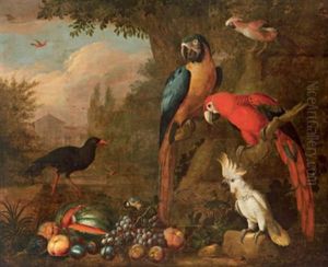 Papageien Und Andere Vogel In Einem Schlosspark by Jakob Bogdani