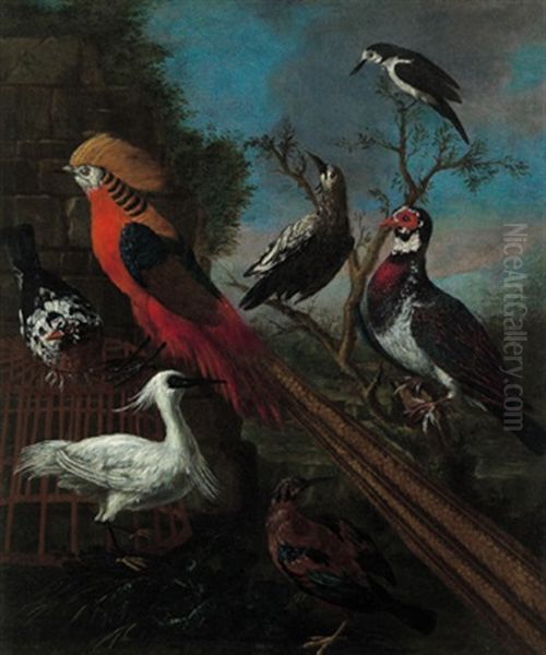 Ein Reiher, Ein Fasan Und Andere Vogel In Einer Landschaft - view 1