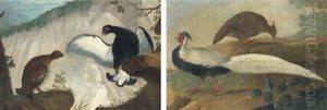 A Male And Female Black Game (+ A Male And Female Silver Pheasant; Pair) by Jakob Bogdani