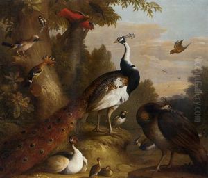 A Wooded Landscape With Peacocks And Other Birds In The Foreground