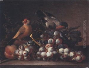 Grapes On The Vine And Peaches With Two Finches On A Ledge