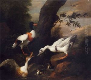 A Shelldrake And Other Ducks Around A Rock Pool In A Wooded Landscape by Jakob Bogdani