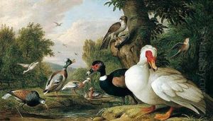 Muscovy And Tufted Duck With A Ruff, Sparrow Hawk And Other Birds Beside A Stream Muscovy And Tufted Duck With A Ruff, Sparrow Hawk And Other Birds Beside A Stream