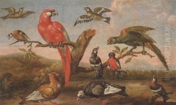 A River Landscape With Parrots And Other Birds - view 1
