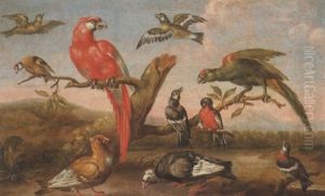 A River Landscape With Parrots And Other Birds A River Landscape With Parrots And Other Birds