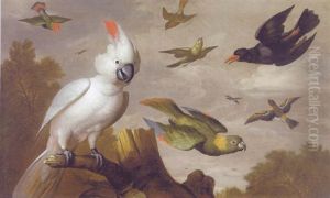 A Salmon-crested Cockatoo, A Red-faced Lovebird, A Magpie, A Yellow-naped Amazon And Other Birds In A Wooded Landscape by Jakob Bogdani
