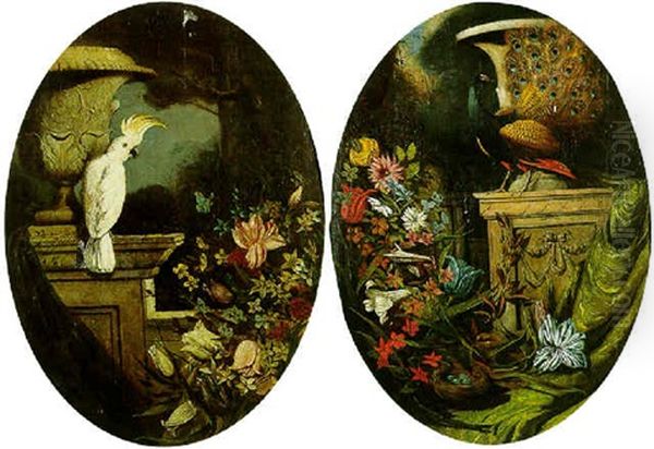 Still Life Of A Cockatoo Set Within Classical, Ornamental Gardens - view 1
