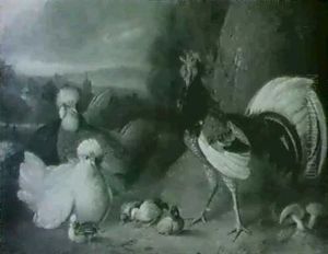 Chickens And Other Birds In An Extensive Landscape Chickens And Other Birds In An Extensive Landscape
