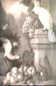 Still Life Of Fruit With A Squirrel, Cockatoo And An Africangrey Parrot by Jakob Bogdani