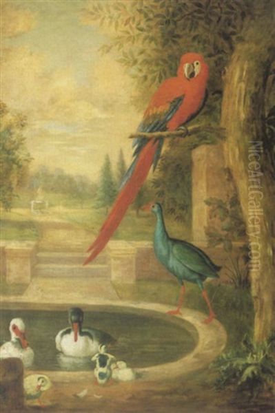 An Assembly Of Birds In A Landscape Including A Scarlet Macaw, Ducks And A Green-backed Gallinule - view 1