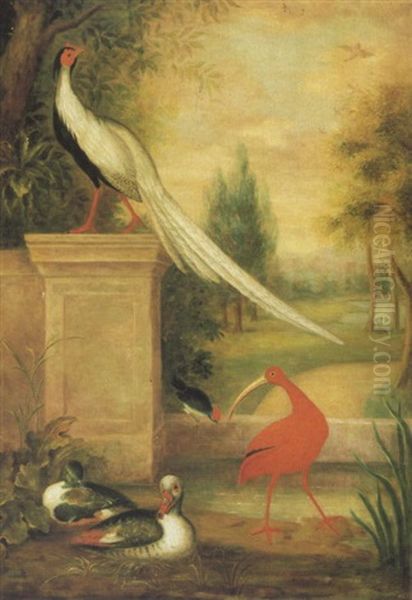 An Assembly Of Birds In A Landscape Including A Silver  Pheasant, Ducks And An Ibis - view 1