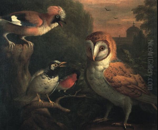 A Barn Owl, A Jay, A Bullfinch And Thrush In A Wooded Landscape - view 1