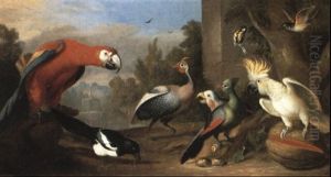 An Assembly Of Birds In A Landscape Including A Macawm A Guinea Fowl, A Coal Tit, A Redwing by Jakob Bogdani
