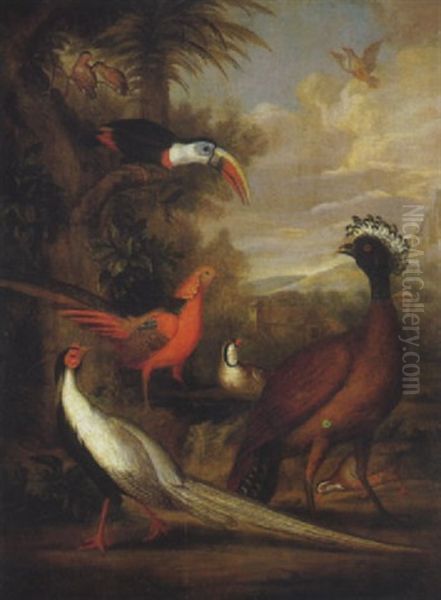 Golden And Silver Pheasant, Toucan, And Other Birds In A Landscape - view 1