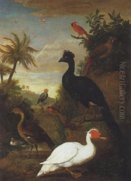 A Muscovy Duck, Curassow, Cardinal And Other Birds In A Landscape - view 1