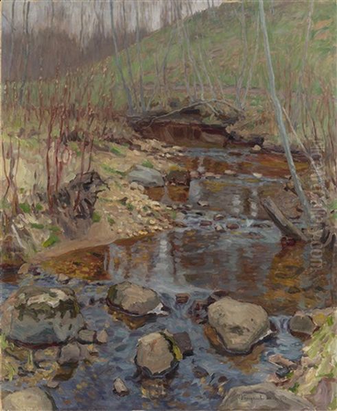 Forest Stream - view 1