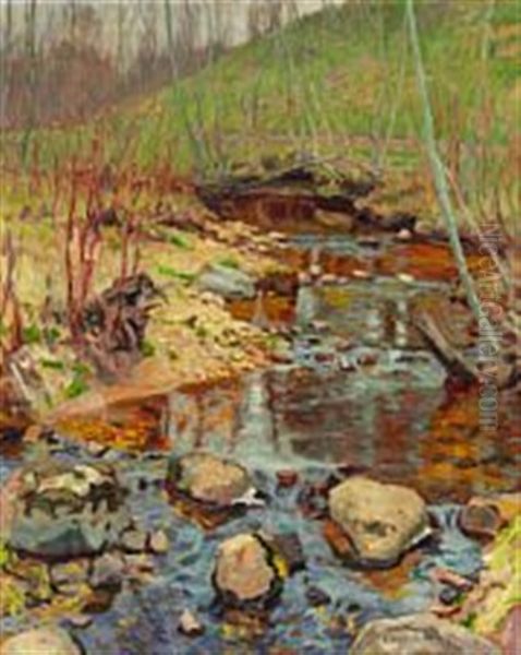 Serpentine Stream In A Russian Spring Forest - view 1