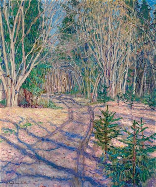 A Sunny Day In A Wintry Forest - view 1