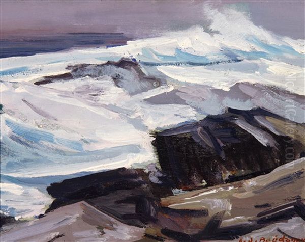 Monhegan Coast - view 1