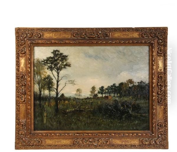 Deadfall At Treeline - view 1