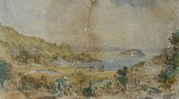 View Of Paihia - view 1