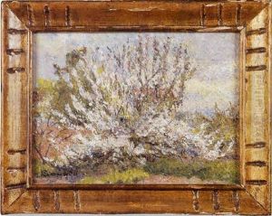 Arbres Et Fleurs Arbres Et Fleurs
