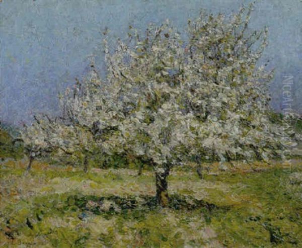 Alberi Con Fiori - view 1