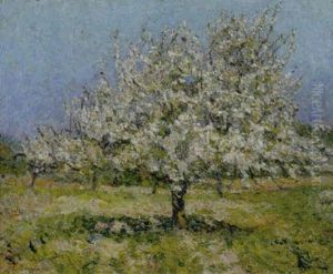 Alberi Con Fiori Alberi Con Fiori