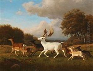 A Flock Of Game In A Forest Clearing