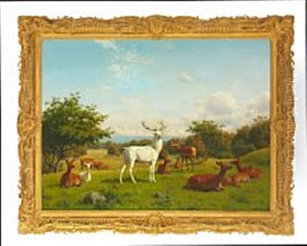 Deer In Dyrehaven - view 1
