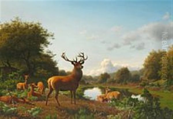 Kronvildt. Motiv Fra Rold Skov - view 1